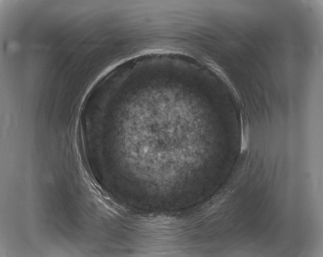 X0000081600387200701151345