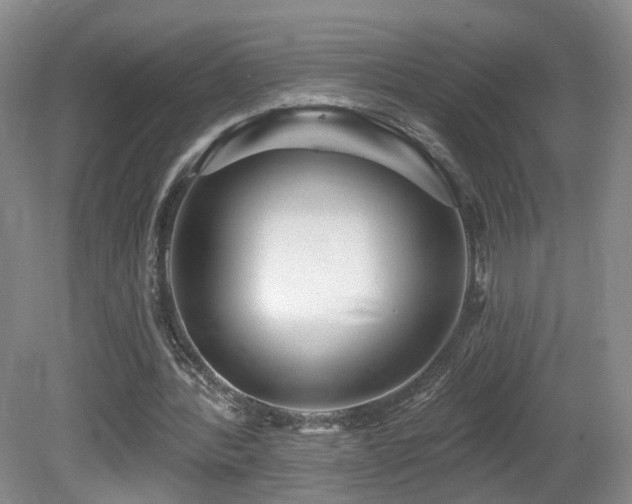 X0000081600388200701151345