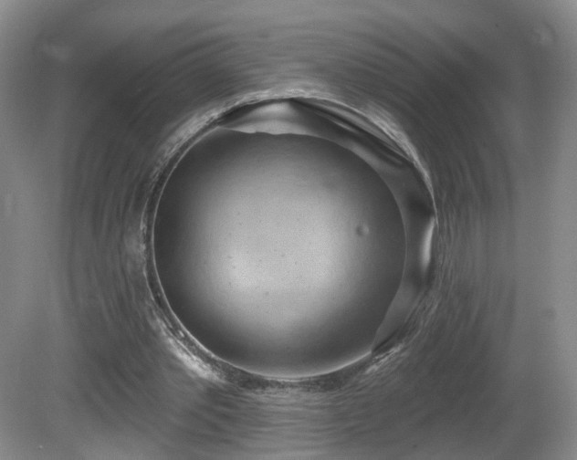 X0000081600389200701151345