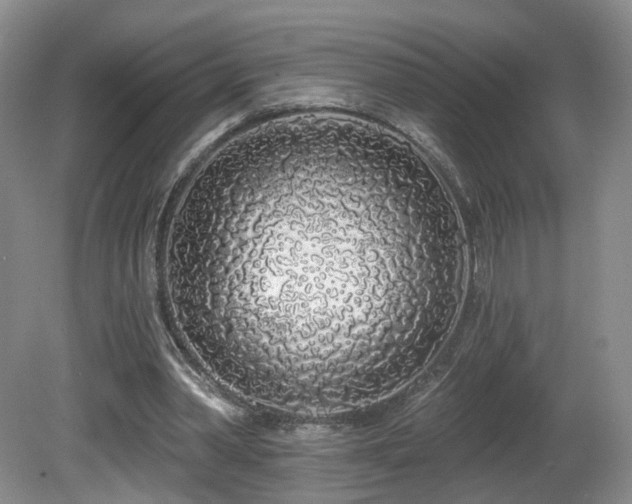 X0000081600390200701151345