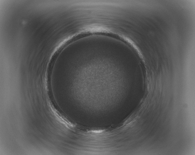 X0000081600391200701151344