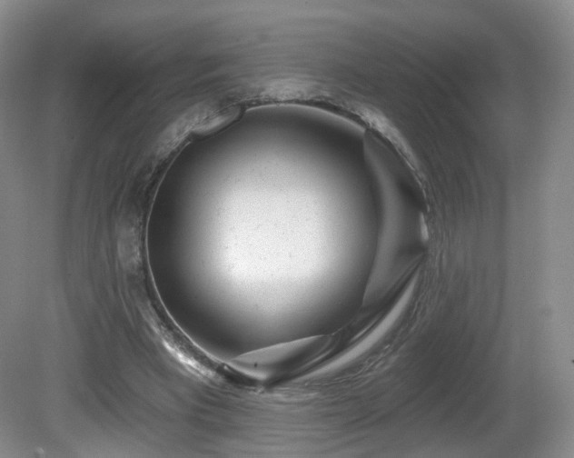 X0000081600393200701151344