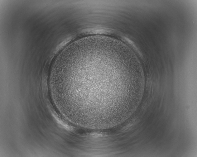 X0000081600394200701151344