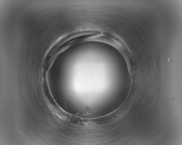 X0000081600395200701151344