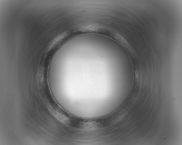 X0000081600396200701151344