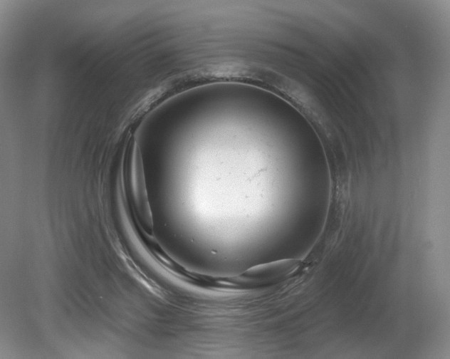 X0000081600397200701151344