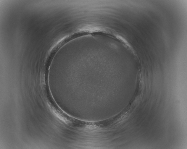 X0000081600399200701151344