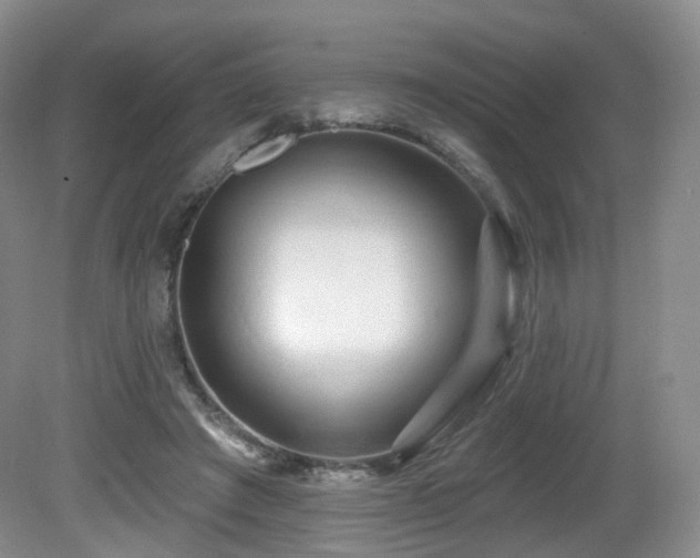 X0000081600401200701151344