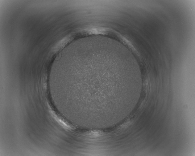 X0000081600402200701151344