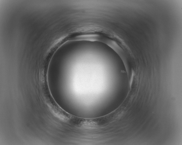 X0000081600403200701151344