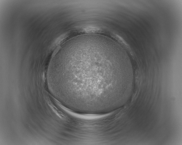 X0000081600405200701151344