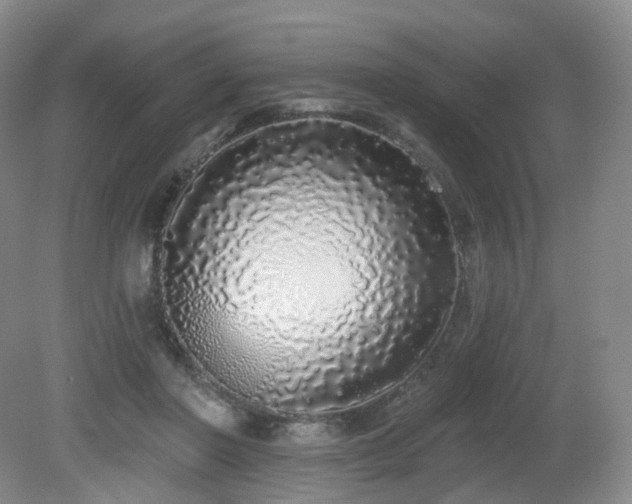 X0000081600406200701151344