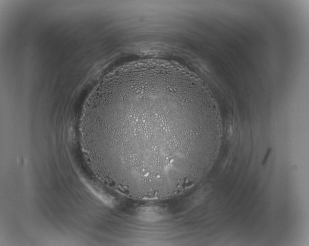 X0000081600408200701151344