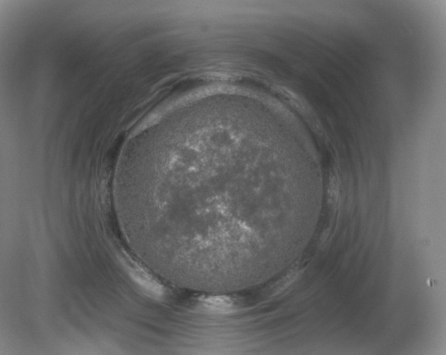 X0000081600409200701151344