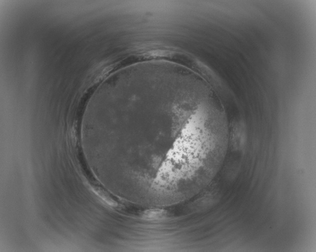 X0000081600410200701151344