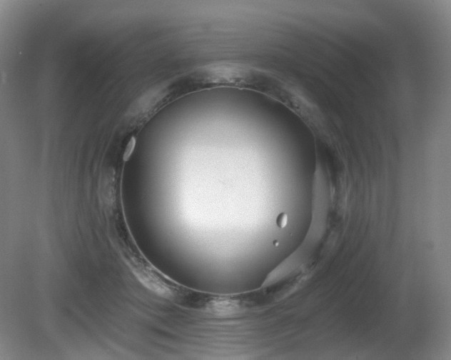 X0000081600413200701151344