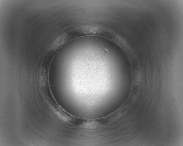 X0000081600414200701151344