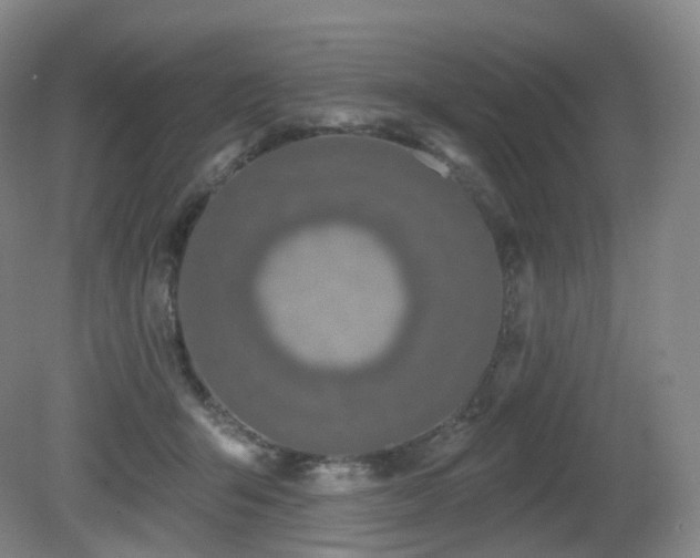 X0000081600415200701151344