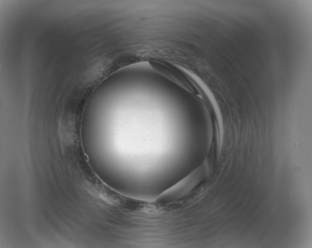 X0000081600416200701151344