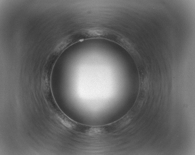 X0000081600418200701151344