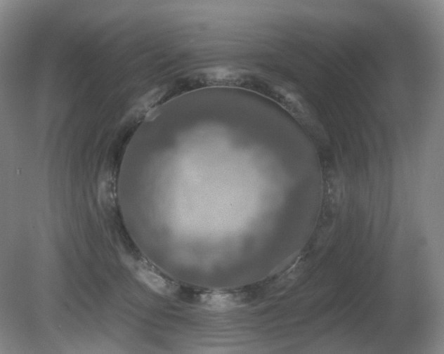 X0000081600419200701151344