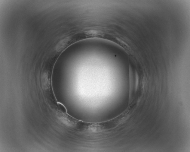 X0000081600420200701151344