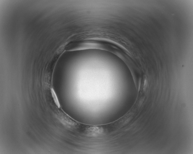 X0000081600421200701151344