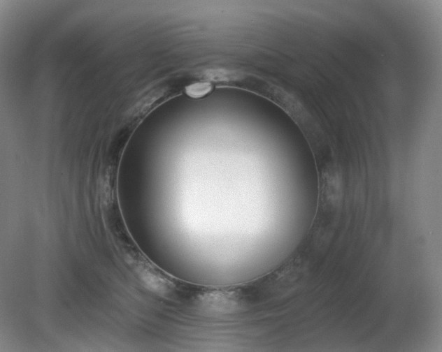 X0000081600422200701151344