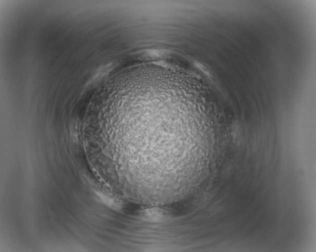 X0000081600423200701151344