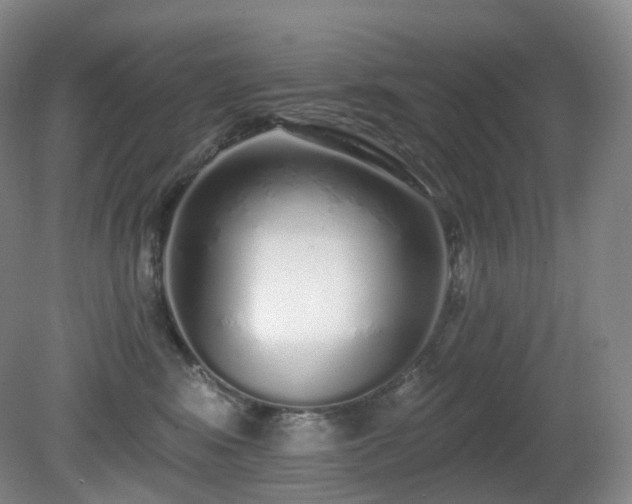 X0000081600424200701151344