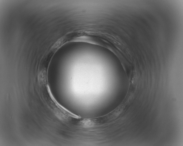 X0000081600425200701151344