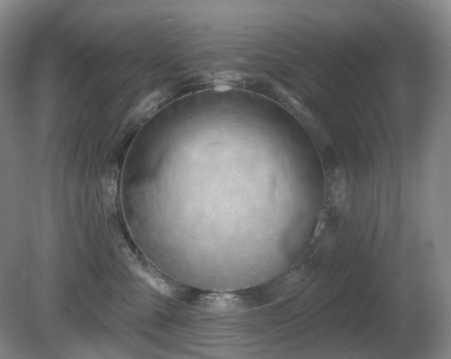 X0000081600427200701151344