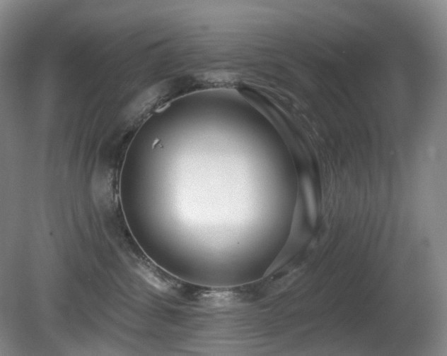 X0000081600428200701151344