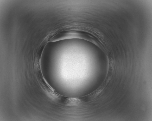 X0000081600429200701151344