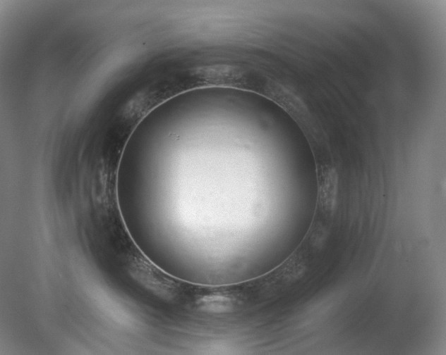 X0000081600430200701151344