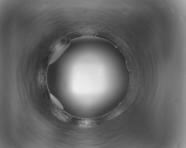 X0000081600432200701151344