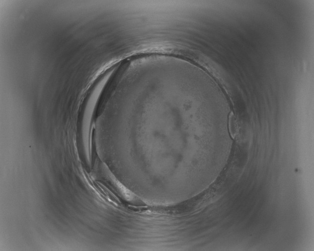 X0000081600434200701151343