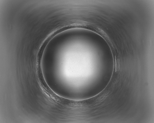 X0000081600435200701151343