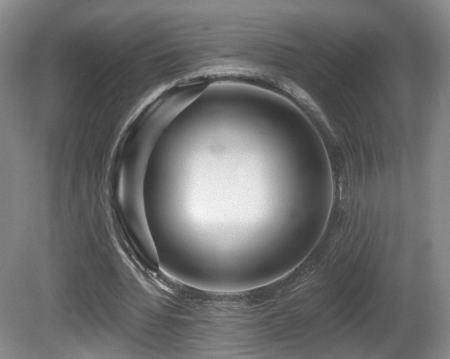 X0000081600436200701151343