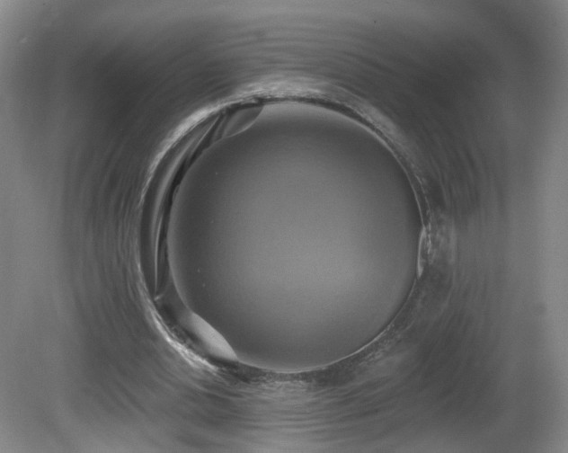 X0000081600438200701151343