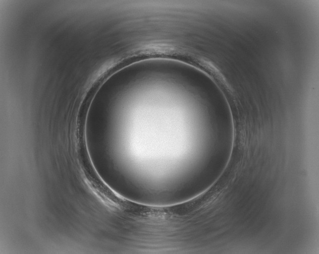 X0000081600439200701151343