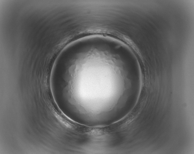 X0000081600441200701151343