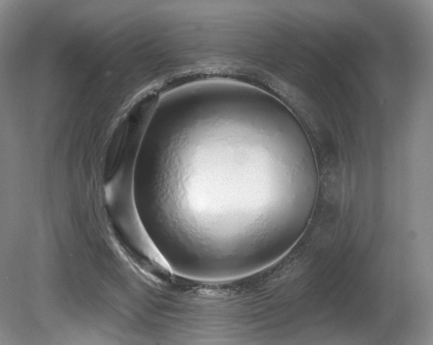 X0000081600442200701151343