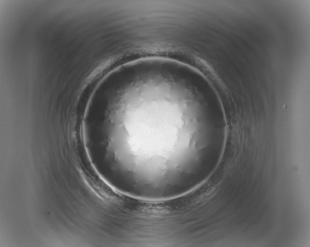 X0000081600443200701151343