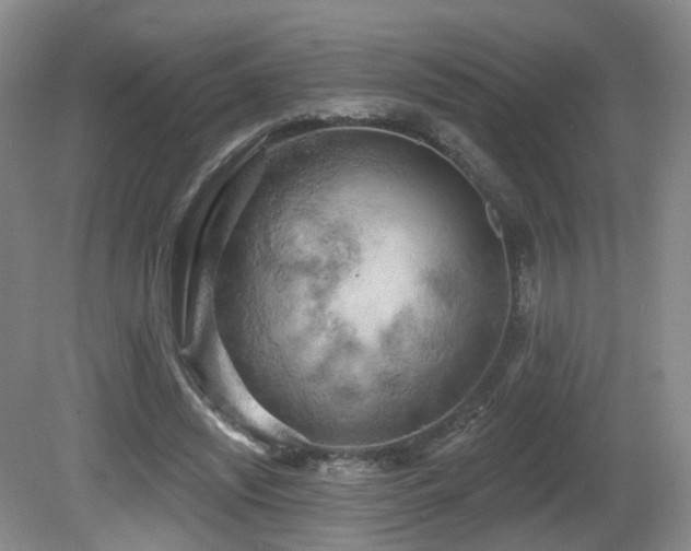 X0000081600444200701151343