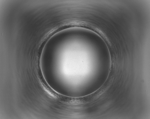 X0000081600445200701151343