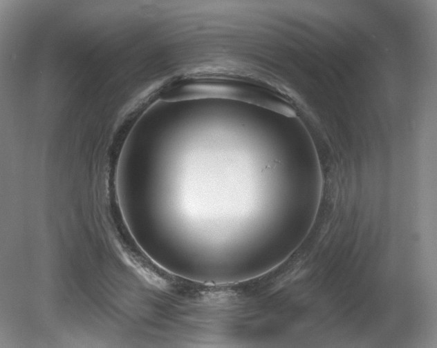 X0000081600446200701151343