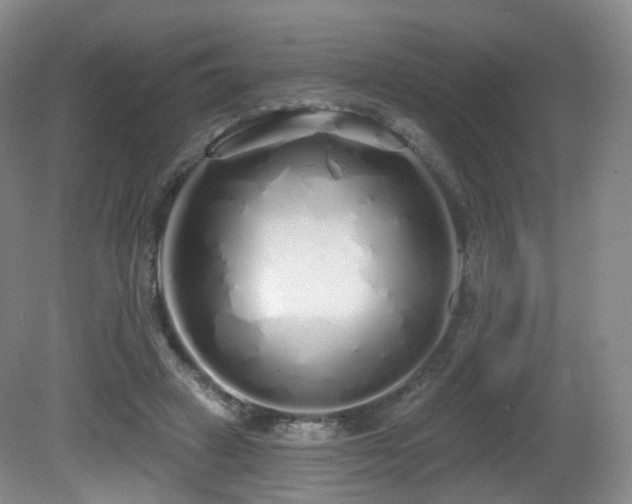 X0000081600449200701151343