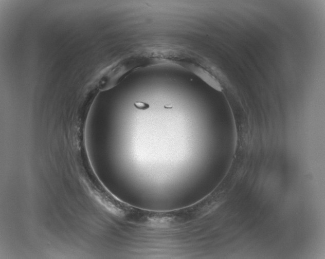 X0000081600450200701151343