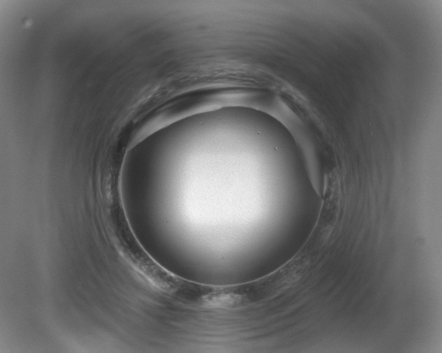 X0000081600452200701151343